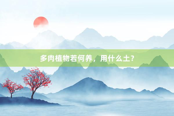 多肉植物若何养，用什么土？