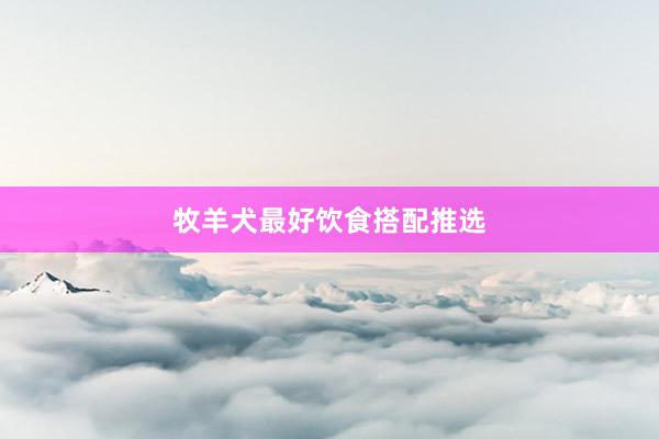 牧羊犬最好饮食搭配推选