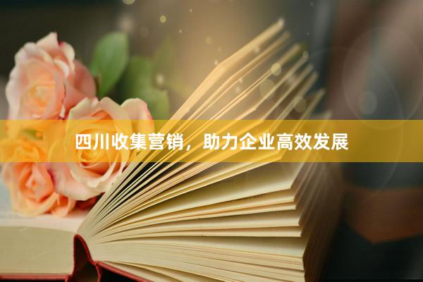 四川收集营销，助力企业高效发展